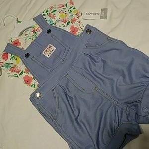 Carter's Shirt and Shortalls 18m NWT